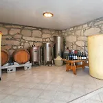 Zuza Bristivica